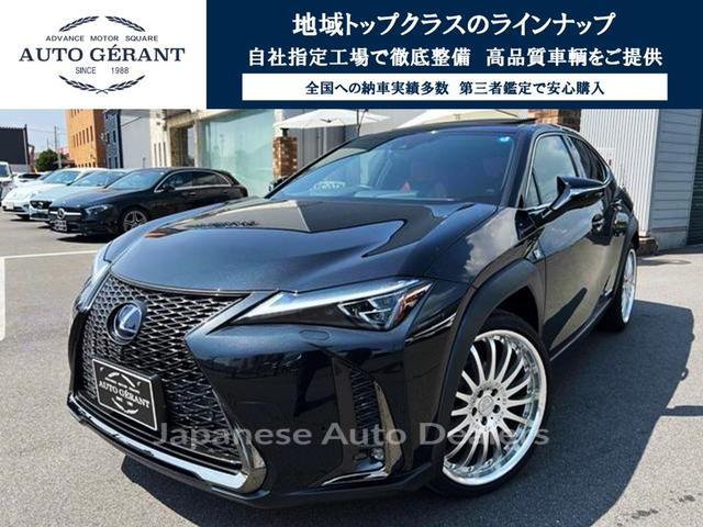 LEXUS UX
