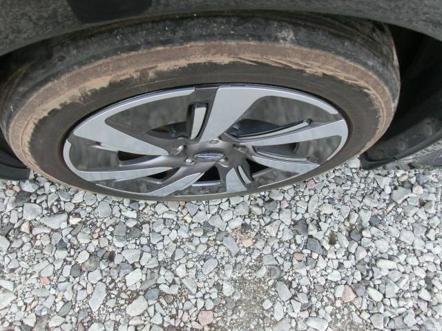 Image 13