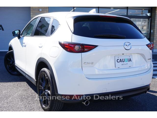 Image 8