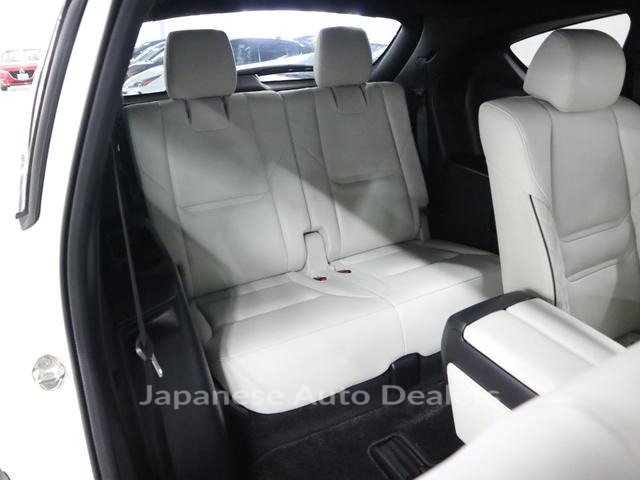 Image 15