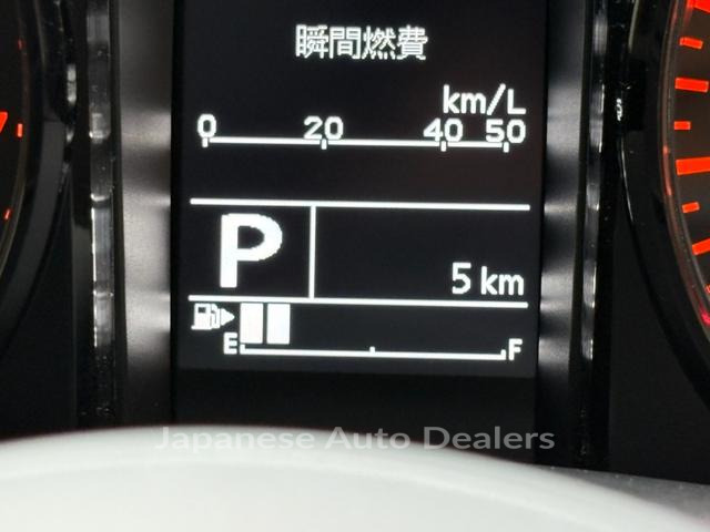 Image 13