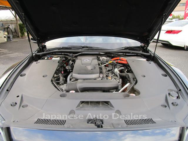 Image 20