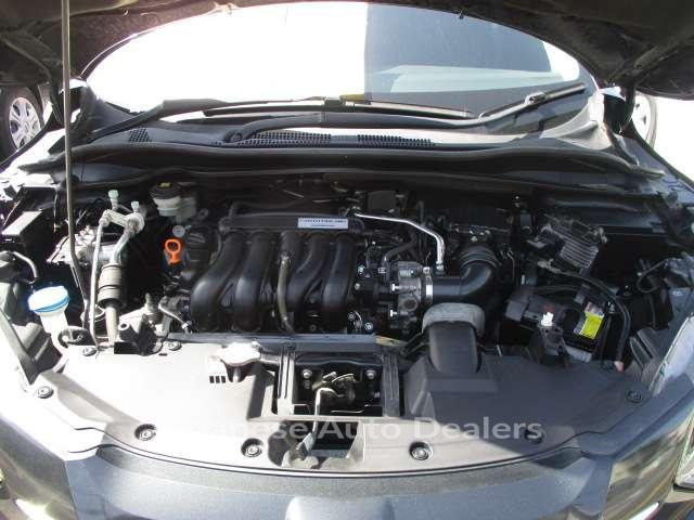 Image 19