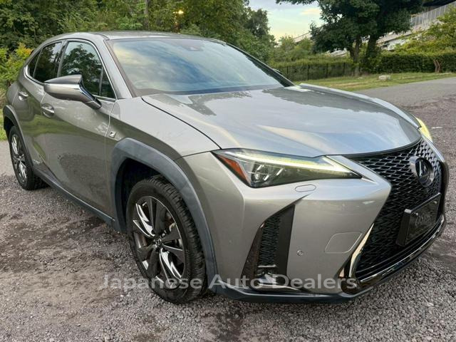 Image 14