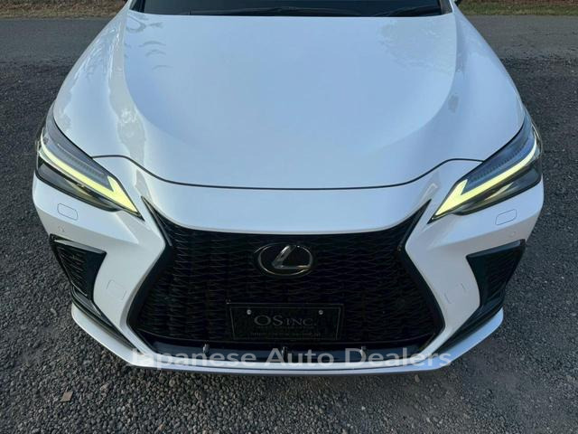 Image 19
