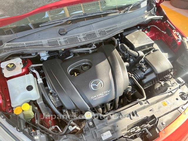 Image 8