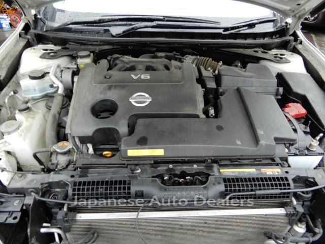 Image 19