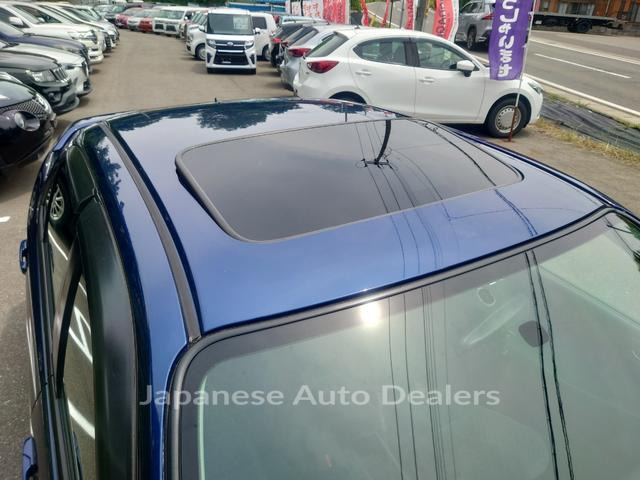 Image 16