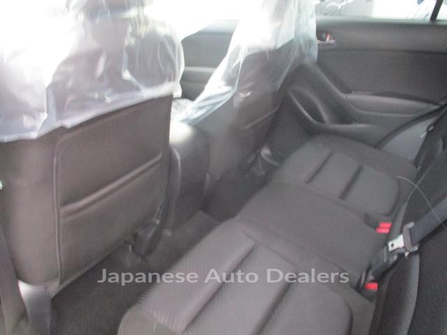 Image 8