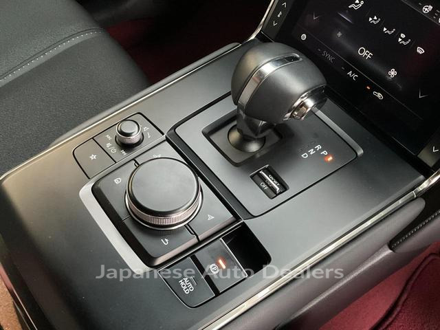 Image 19