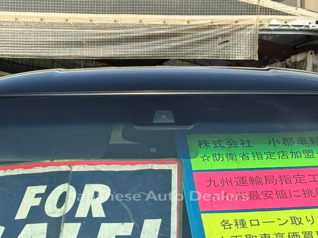 Image 19