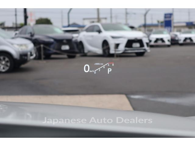 Image 16