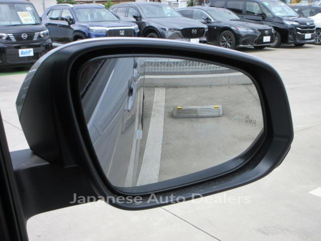 Image 19